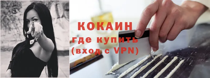 купить   Буй  КОКАИН VHQ 